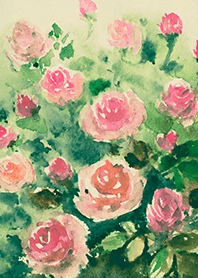 Beautiful rose flower(R4421)