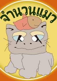 จำนวนแมว