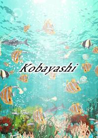 Kobayashi Coral & tropical fish2