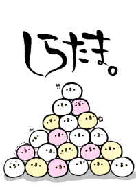 しらたま
