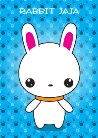 Rabbit_A