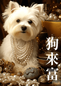 Dog attract wealth
