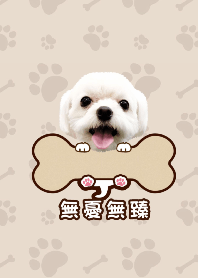無憂無臻