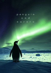 penguin and aurora