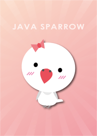 CUTEBIRDII (JAVASPARROW/pink)