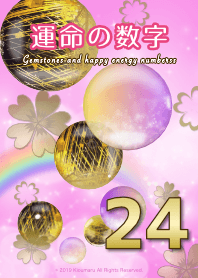 運命の数字 24 - 金運爆上げ 女性用 3