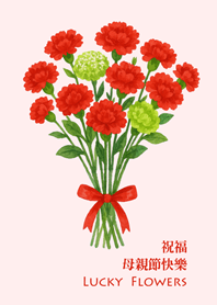 送媽媽一束康乃馨-美麗粉紅色