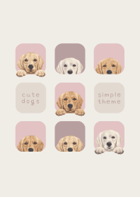 DOGS - Golden retriever - PINK GRAY