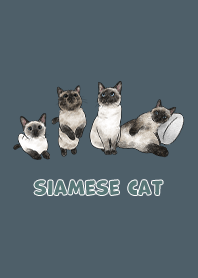 siamesecats3 / dark steel blue