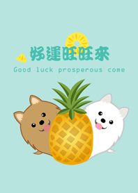 我愛博美犬