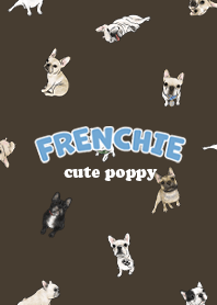 frenchie7 - chocolate .jp