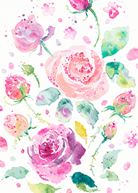 Beautiful rose flower(R4481)