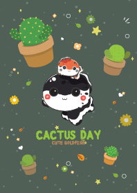 Goldfish Cactus Day Lovely