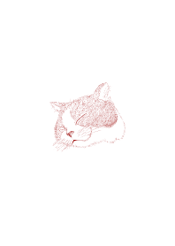 Cat's illustration