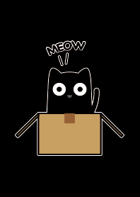 MY BLACK CAT " FRIDAY " - MEOW II