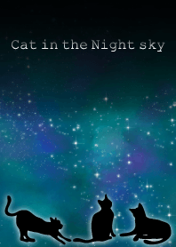 แมวในท้องฟ้ายามค่ำคืนธีม WV