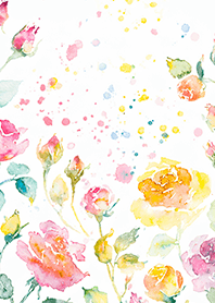 Beautiful rose flower(R4570)