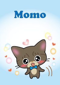brown tabby cat Momo lightblue version