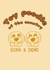 Toy poodle of the Country SORA & DEMI