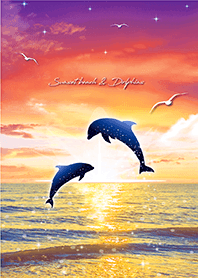 Sunset Beach & Dolphins 2