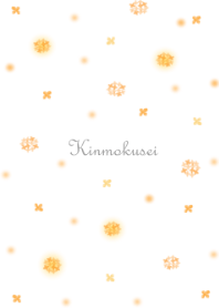 ＊小さな金木犀＊