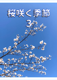 桜咲く季節3 (白)【写真着せかえ】