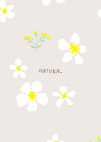 yellow and white flowers6 from Japan