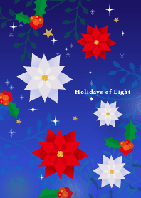 Holidays of Light 1 J