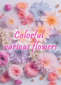 Colorful various flowers - pink