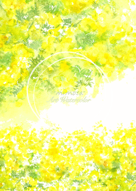 Art Watercolor -mimosa-