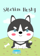 Cute Siberian Husky Dog Theme(jp)