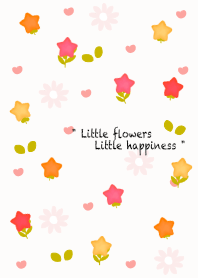 Wonderful star flowers 11