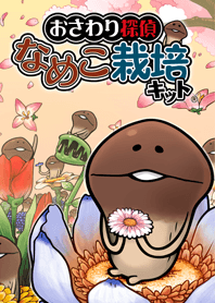 Mushroom Garden - spring -