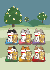 Lucky cat in the forest!(Green Lake)