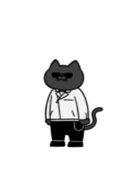 Racing black jacket cat 11