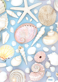 pastel colored seashells