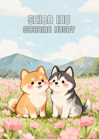 Pretty Shiba Inu & Siberian husky (JP)