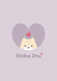 Shiba Inu2 Apple - PurplePink