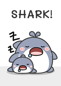 S H A R K!