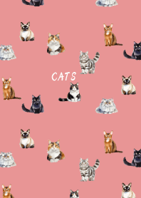 cat world on light pink