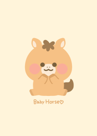 Baby horse.