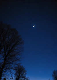 Mountain, Sea, and Moonlit Night cBa70B