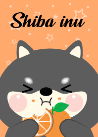 ชิบะดำ รักส้ม