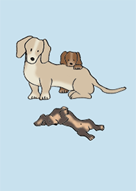 狗 臘腸犬_淡藍色