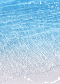 Tropical Beach Photo103 Not AI