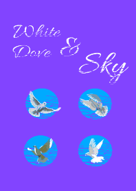 White dove & Sky