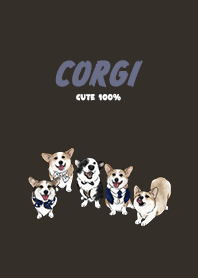 corgicorgi4 / chocolate