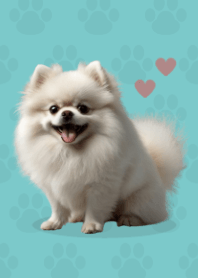 Cute Pomeranian Theme Beige 04
