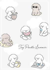 Toy Poodle Summer 01_1