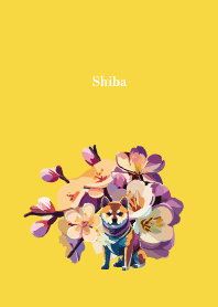 sakura and Shiba on yellow